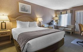 Flamingo Hotel